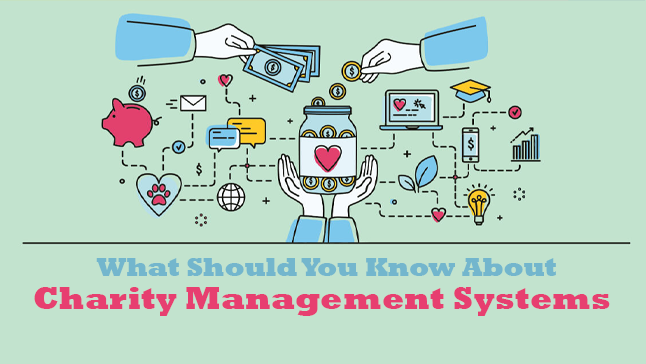 What Should You Know About Charity Management Systems?